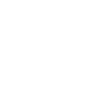 seed‡metal